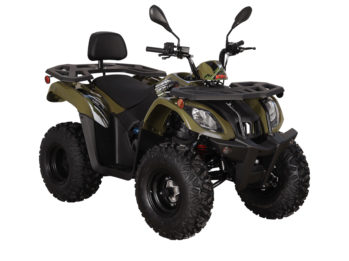 nltc5kfo0ng6ibotbec42fh2usyquatn 1